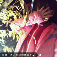 用心挑的 昨天一个小偷来我家偷