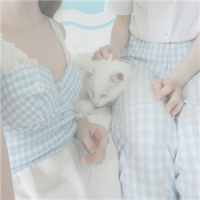 cute “ 活到老，减肥口号