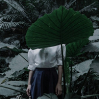 自截（看到最后好吗） 大学纵使一百个不可理