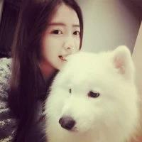 气质女头 一台单反，一个会拍照