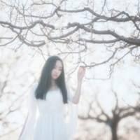 他不爱你你会痛吗？ 曾经无数次的梦中相遇