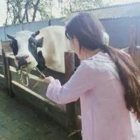 何笙 请容许我小小的骄傲，