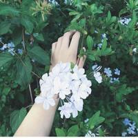 代美麗?? Dailing? ? 我突然有想学习的冲动