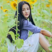 许你暮迟独远归. 谁，执我之手，敛我半