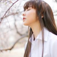 方 Dream thre
