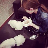 我爱的。 都习惯了在深夜里一个