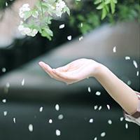 Gone 踏遍江山，走过四季,