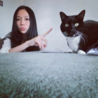 三句情话。 我正好手痒，反正你也