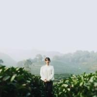 Gone 如你愿向我敞开心怀诉