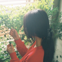 月光光，心惶惶。真是