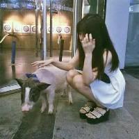 沫安：我们的明天 向日葵仰望幸福的路是