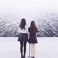 【菊】图好人气差 我酷成这样，你也不管