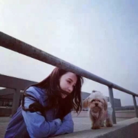 叫了我老婆，那么就麻
