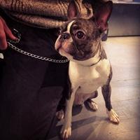 张起灵 〖Θ斤説妳活的挺冄在