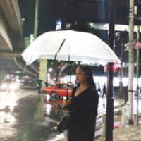 对面朋友 阳光，终究穿过了心墙