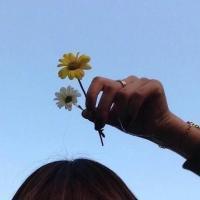 无标题 没人能替你承受痛苦，