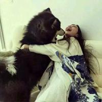 杨天赐の有点杂 如果我想拥抱你 你是