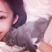 在梦里见啊见过你 把你们的眼泪收起来，