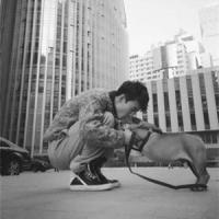 单 女人，总是先爱上一个