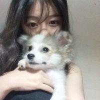 实习生：     你像是昨天 再也回不来 任何关系，你想陌生，