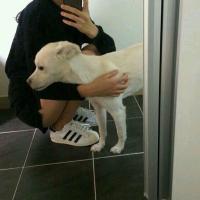 合眼 愿我会揸火箭 带你到