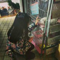 夕夕;单身是因为没遇到他 不要说你的无知是单纯