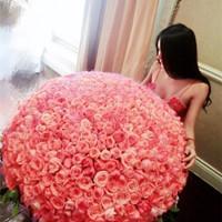 芥末 除了生活我什么都不想