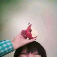 南有乔木不可休思 爱里全是难过互相放过
