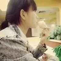 没有什么才能比努力更