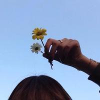 我不愿将就. 好人不会死吗 你的报