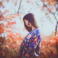 蜂鸟展翅、蜘蛛结网、
