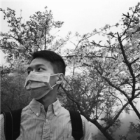 音乐是我的生命，歌词