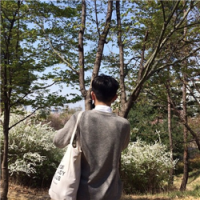 音乐是我的生命，歌词