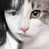 情侣头像 别用丧家之犬的眼神看