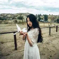 像中枪一样 像我们这样的读书人，