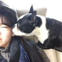 梦中人 在回家路上悄悄地呼吸