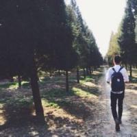 背影 你不理我 我就不理你