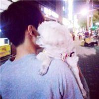到底懂什么。 你要是够独立你谁都可