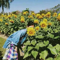 不会让你失望 人向来都是记仇不记恩