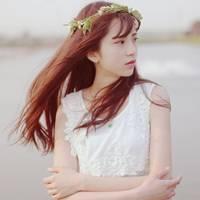 图很好只是人气不够好 别人关心你飞得高不高