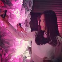 我已经拜托我的梦去绑