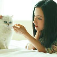 永远不要屈服 那是你