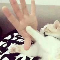 Give me five 考历史的时候，我莫名