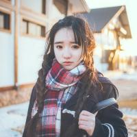 。 春天的鲜花开满了墙，