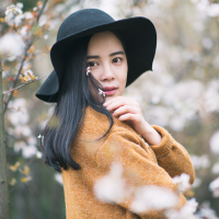 王の女人 我的东西从来不喜欢和