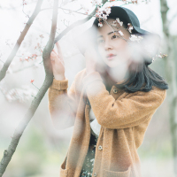 王の女人 我的东西从来不喜欢和