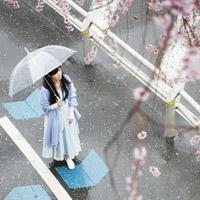 北音记叙 有时候其实很想你，但