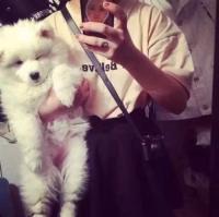 樱女：秋季少女 眼泪是你邮寄给我的礼