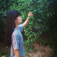 樱女：夏季少女 我们是同一个点放出去