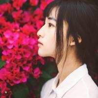 刘逍遥啊（满图） 我相信，你会带着四叶